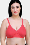 Maroon Clothing Double Layered Non Wired Full Coverage T-Shirt Bra (Pack of 2) - Multicolor — thumbnail 2